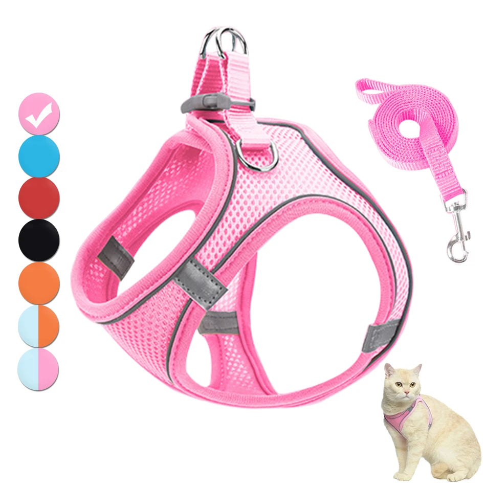 Veilige Kattenharnas Set